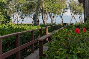 A wooden pathway with a railing, surrounded by lush greenery and trees.