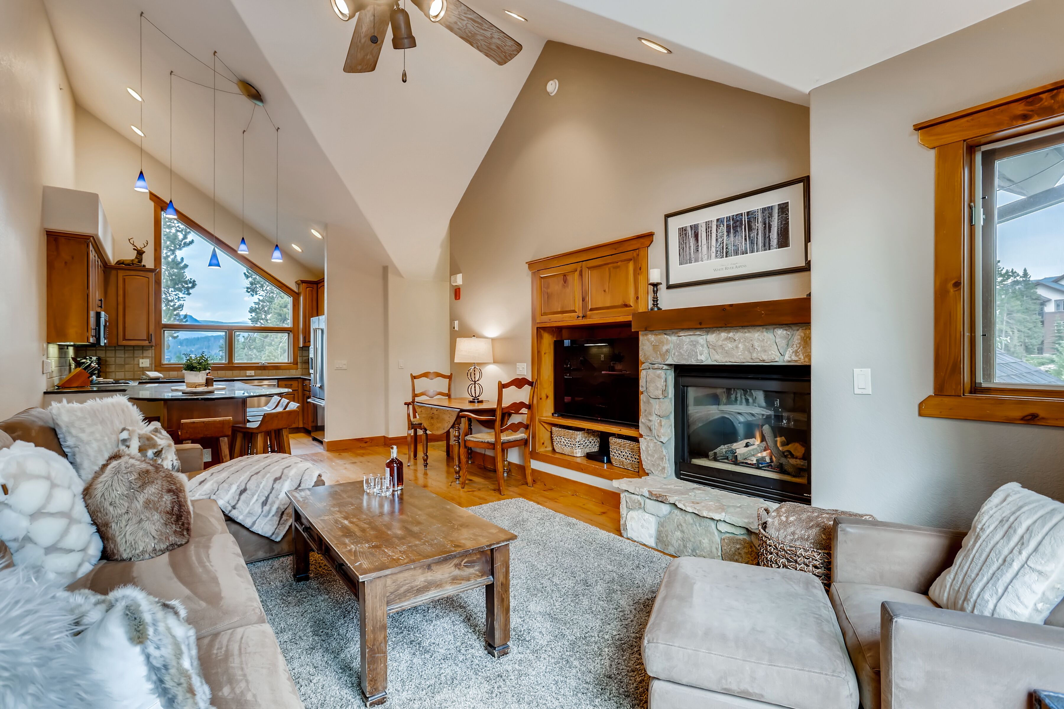 TV, fireplace, offices