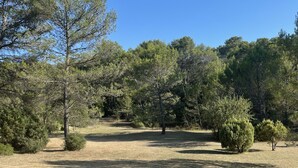 A grassy outdoor area with trees and a clear blue sky. - Villa in the heart of Provence (Fuveau)