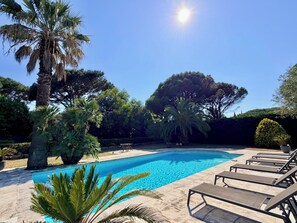 Ein Swimmingpool mit Liegestühlen, umgeben von Palmen und anderer Vegetation.