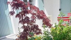 Ein Garten mit verschiedenen Pflanzen und einem Gebäude mit blauen Fensterläden und einer weißen Tür.
