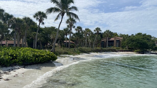 Une propriété située en bord de mer, avec une eau cristalline, des palmiers et un bâtiment doté d’un toit rouge.