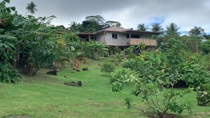 Una casa con techo inclinado, rodeada de abundante vegetación y palmeras.