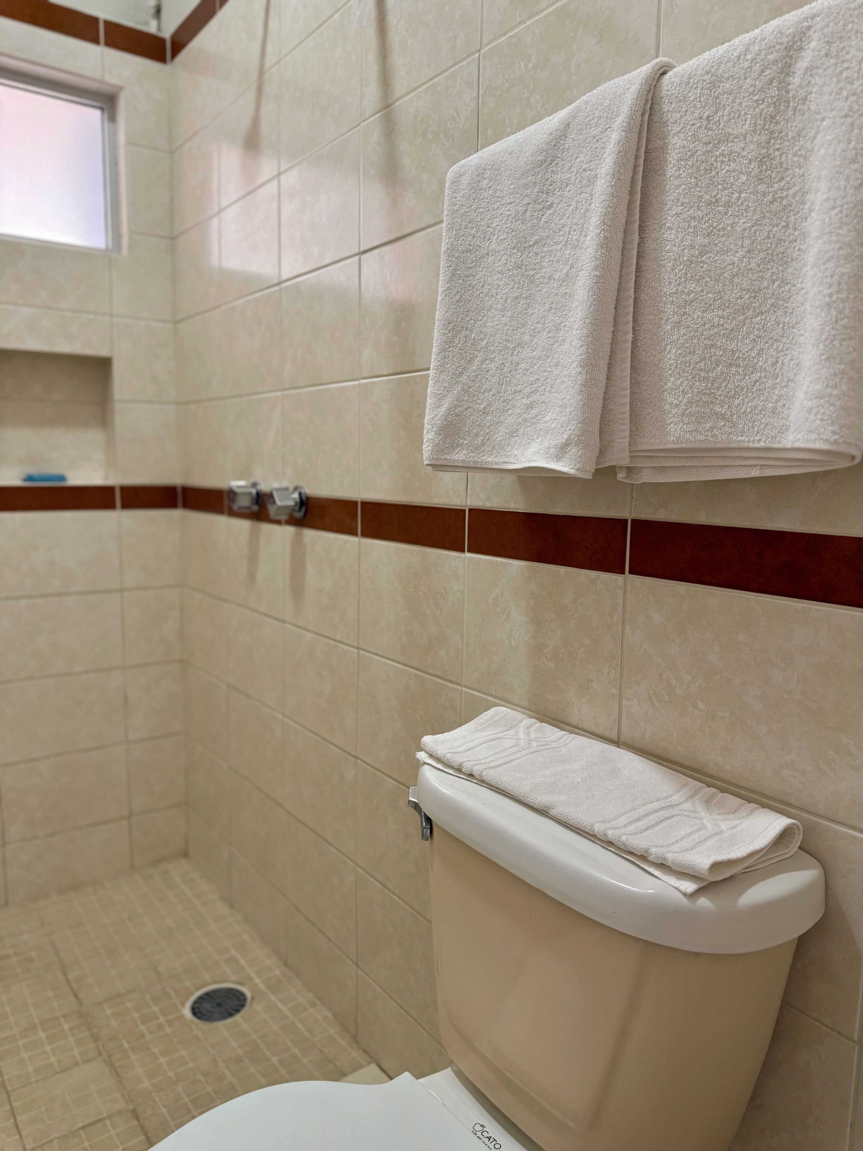 Een badkamer met een toilet, een douche en twee handdoeken aan de muur.