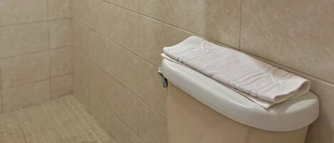 A bathroom with a toilet, a shower, and two towels hanging on the wall.