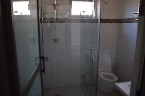 Combined shower/tub, hair dryer, towels, toilet paper