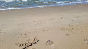 Een zandstrand met voetafdrukken en een stuk drijfhout.