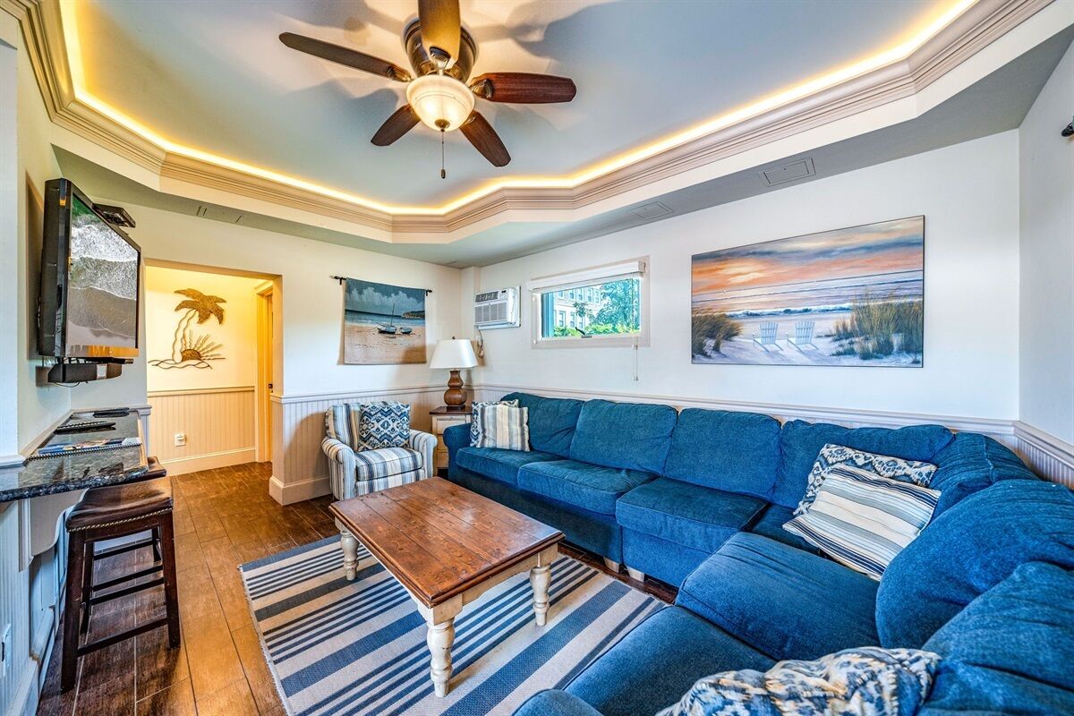 Tv, dvd-afspiller, bøger