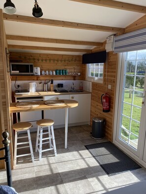 Réfrigérateur, micro-ondes, four, bouilloire électrique