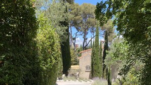 Un chemin pavé, bordé d’une végétation luxuriante, mène à un bâtiment en pierre surmonté d’un toit en tuiles.