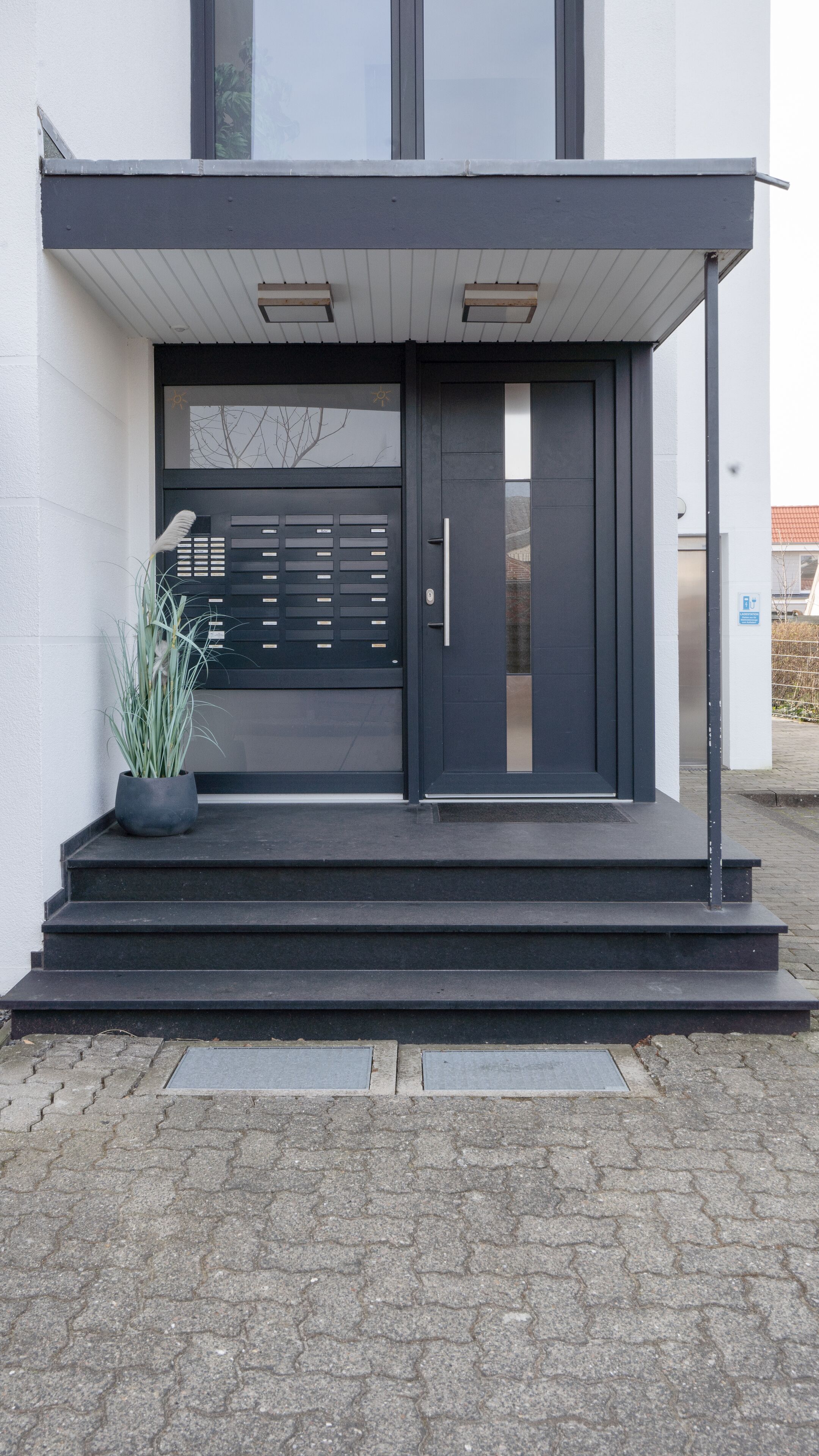 A modern building entrance with a dark-colored door, a small potted plant, and a set of steps leading up to the entrance.