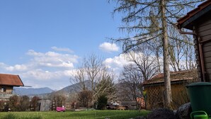 A rural landscape with a large tree, a grassy field, and a wooden building with a red roof.