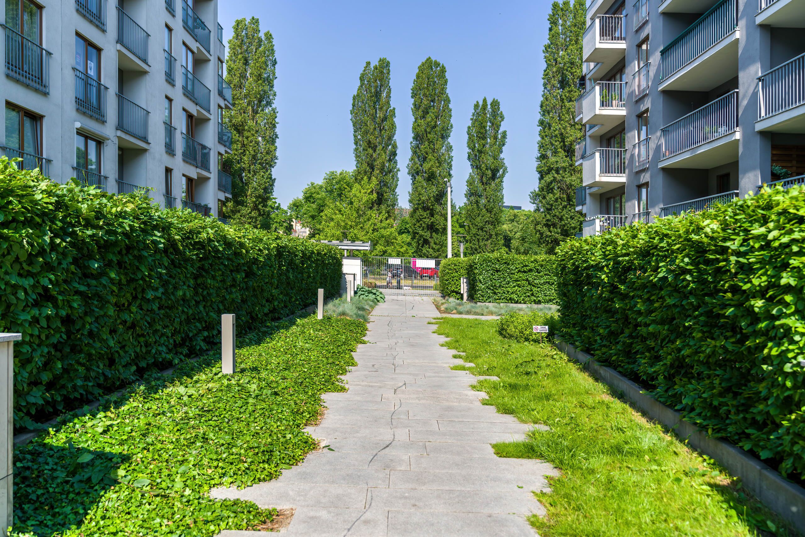 Un vialetto costeggiato da vegetazione rigogliosa e alberi alti, che conduce a un moderno edificio con balconi.