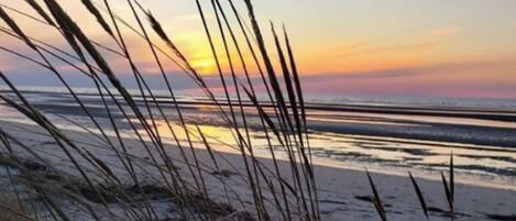 Beach nearby, sun-loungers, beach towels