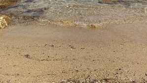 A beach with clear water, pebbles, and distant mountains. - Large charming Bastide- private pool- Air conditioning- WIFI-1.2 km from St Tropez-Vue Mer (GASSIN)