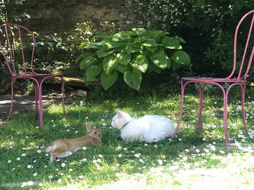 La campagne à la ville à Nantes