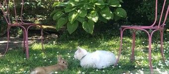 La Campagne à la Ville à Nantes