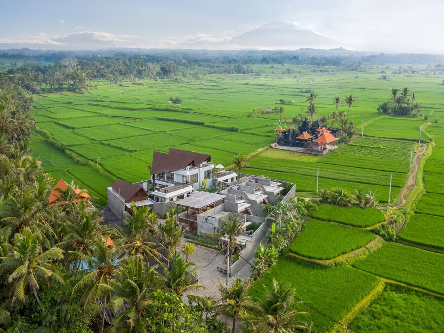 A modern hotel with a flat roof and a large open terrace, surrounded by lush green fields and palm trees.