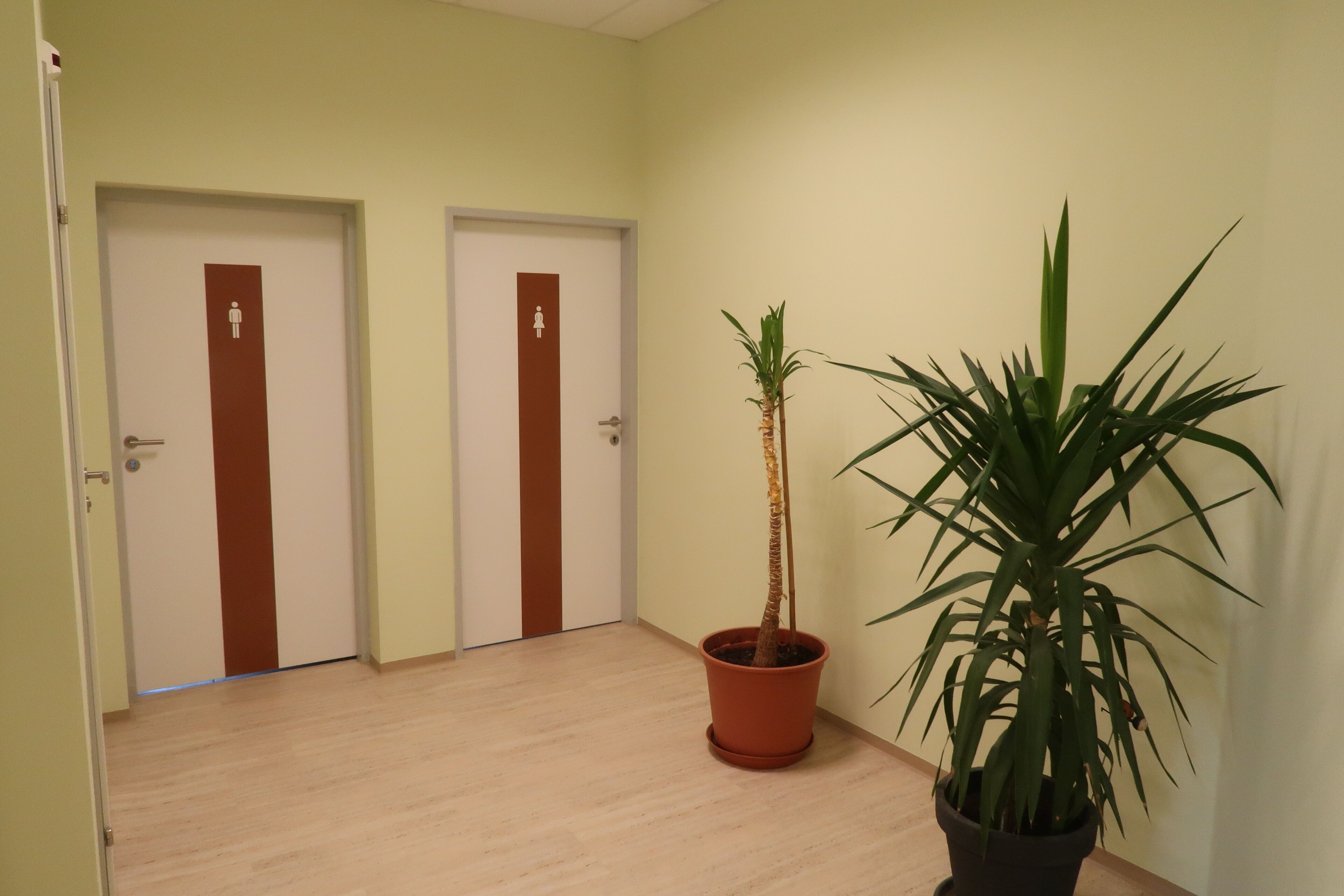 Um corredor com duas portas, cada uma identificada com o símbolo de um sanitário. Há uma planta em vaso com folhas verdes longas no lado direito.