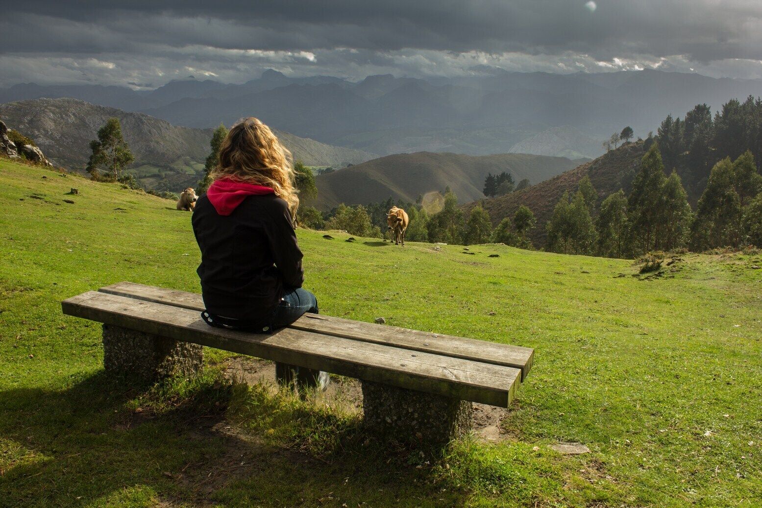 Una persona sentada en un banco en un campo cubierto de hierba, con una vaca a lo lejos y montañas al fondo.