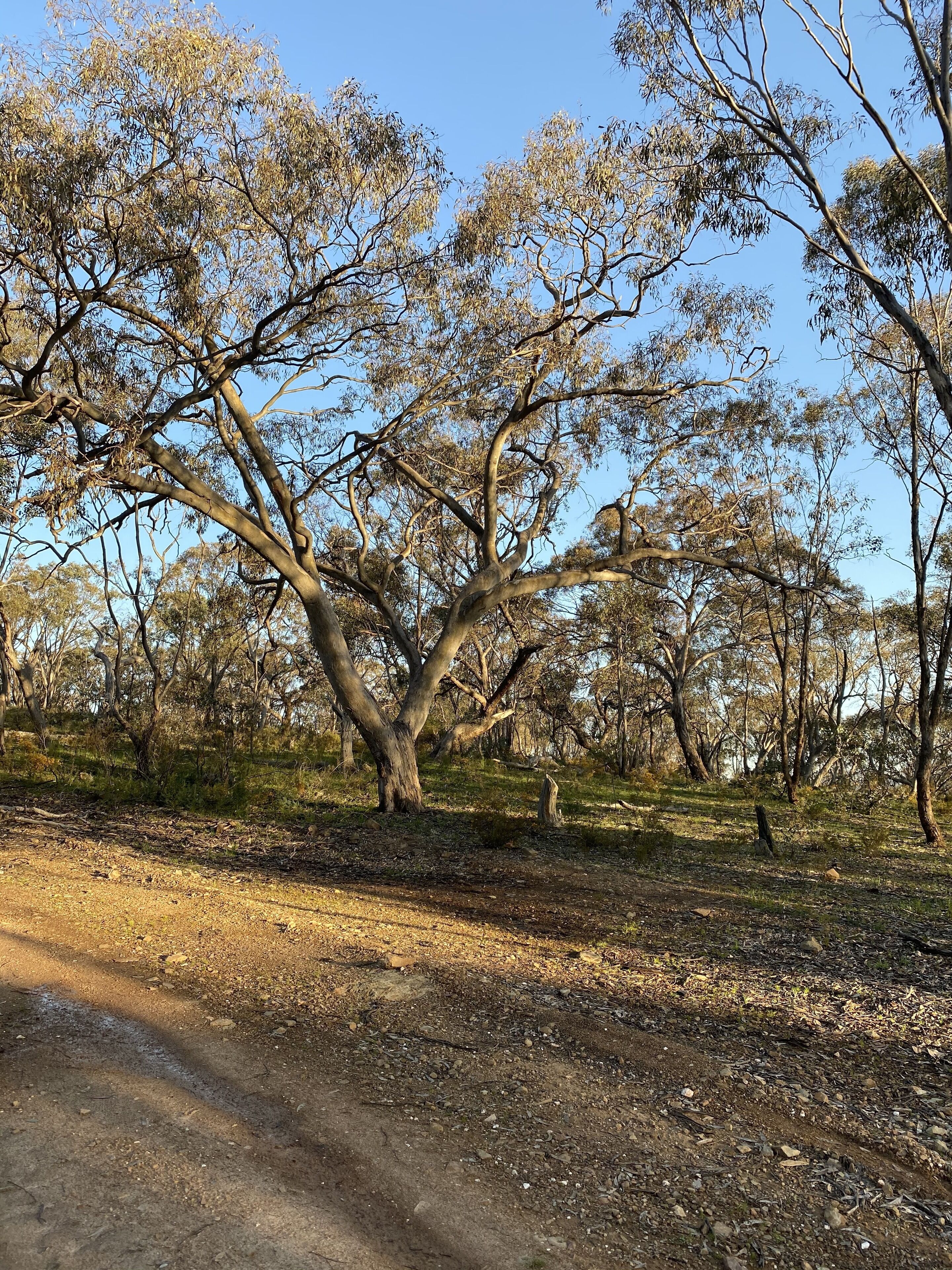  Hiking and biking trails. 