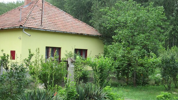 Uma casa amarela com telhado vermelho, cercada por vegetação e um caminho de terra.