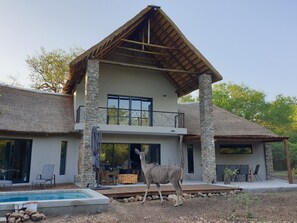 Ein zweistöckiges Haus mit Natursteinfassade und einem Reetdach, inklusive Pool.