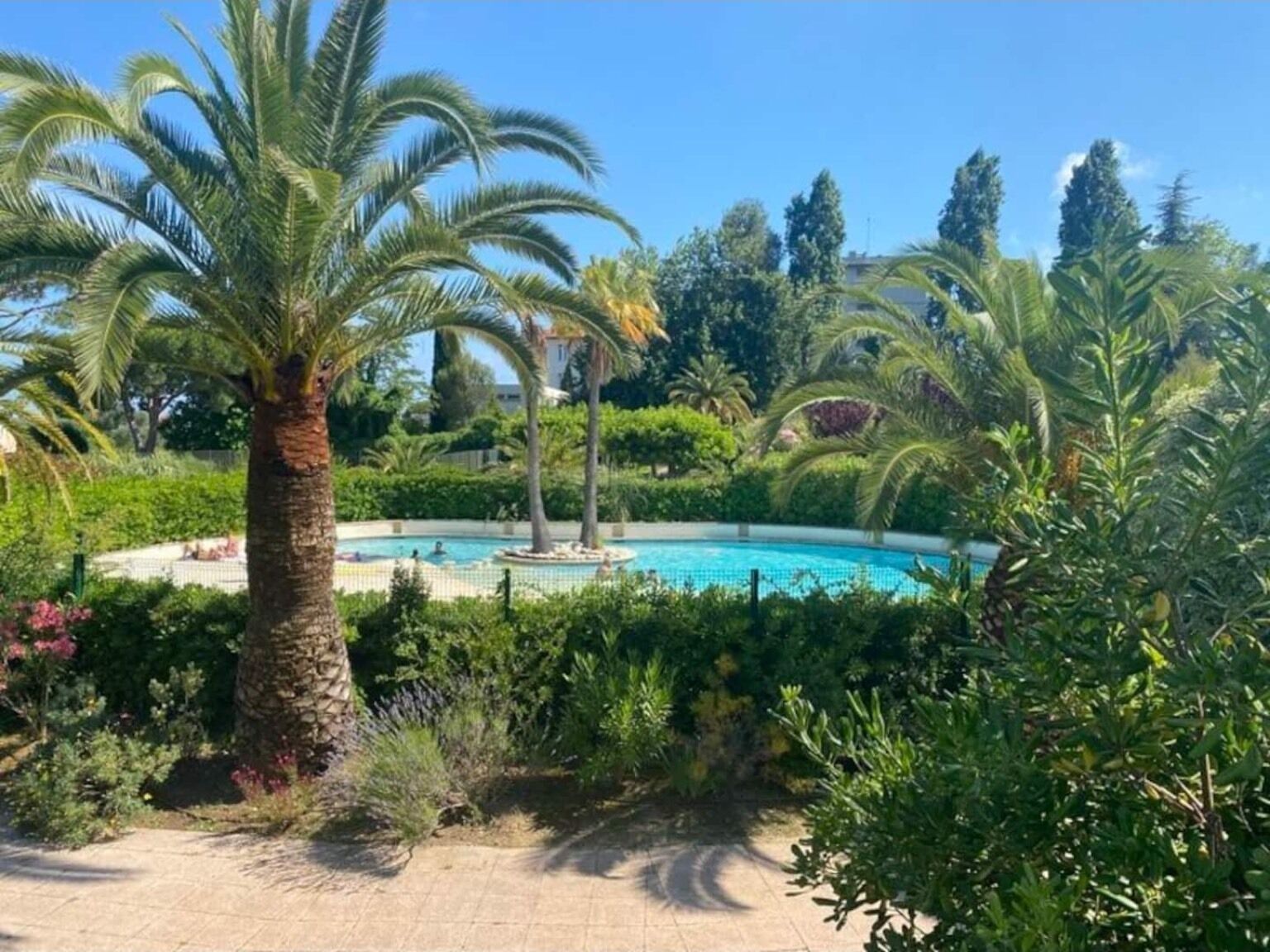 A pool surrounded by lush greenery and palm trees.