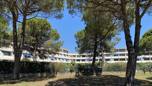 Un edificio con varios pisos y balcones, rodeado de árboles y césped.