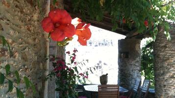 Un espace extérieur aménagé avec des murs en pierre, comprenant une table et des chaises, et entouré d’une végétation luxuriante et de plantes en fleurs.
