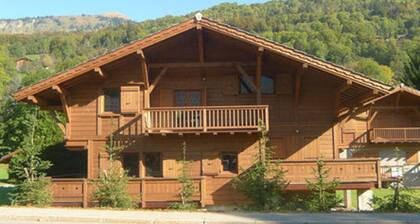 Chalet familial avec salle de jeux, parking et WiFi