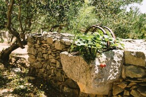 Cottage | Property grounds