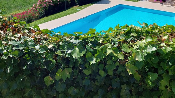 Una piscina rodeada de exuberante vegetación y una vista panorámica de un lago y montañas.