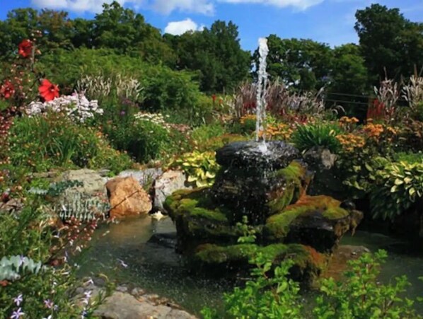 Stroll through a serene garden surrounded by vibrant flowers and a central water feature.