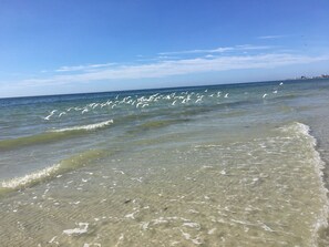 On the beach