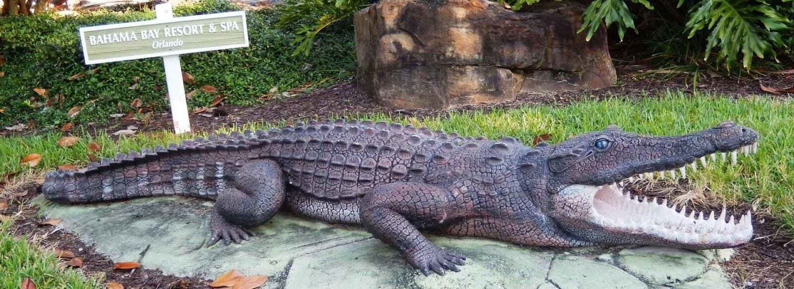 A large alligator statue in a landscaped area with a sign reading "Bahama Bay Resort & Spa."