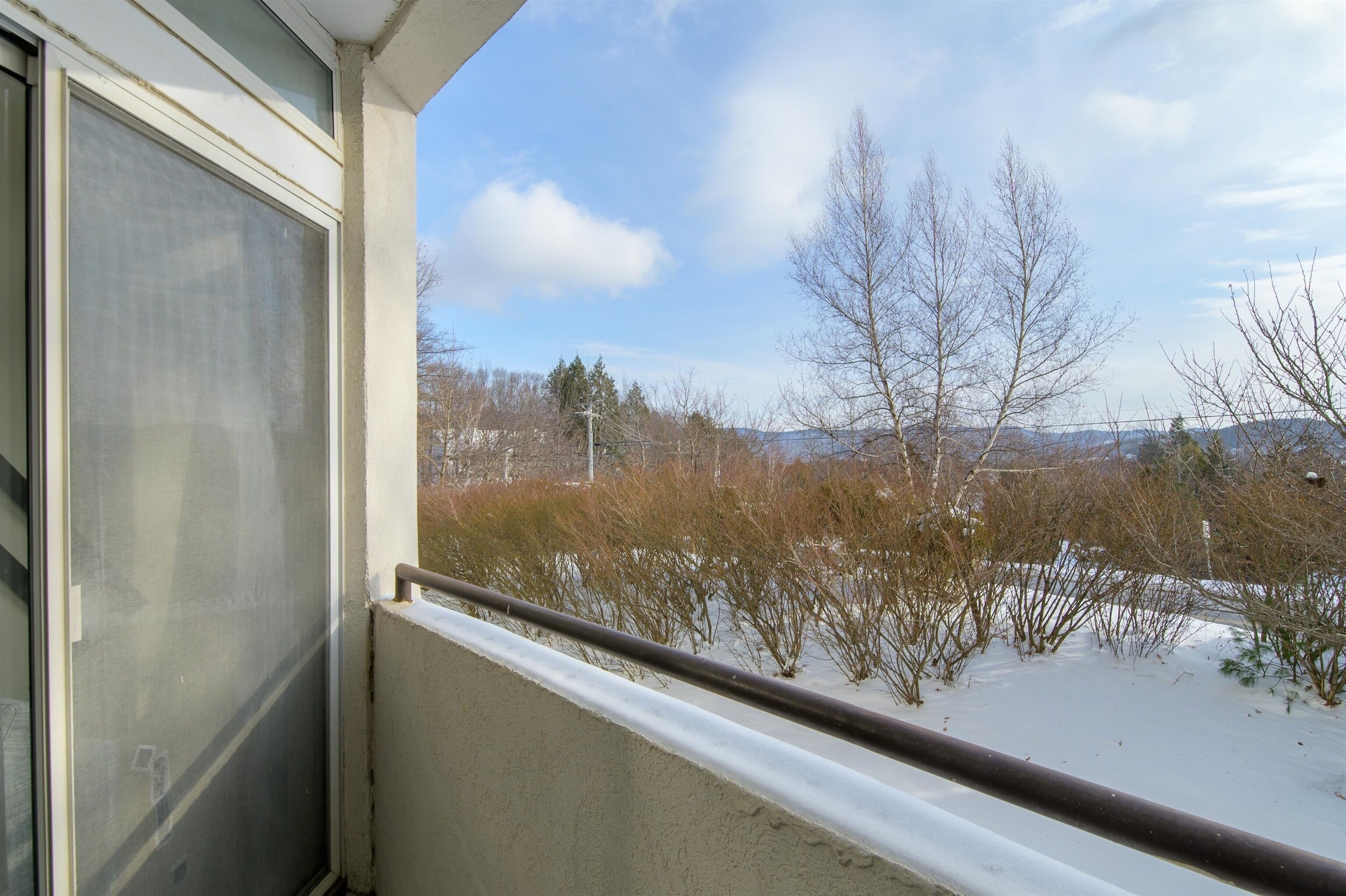 A balcony with a view of a snowy landscape and bare trees.