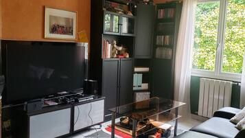 Télévision, cheminée