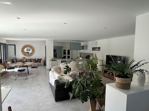 TV