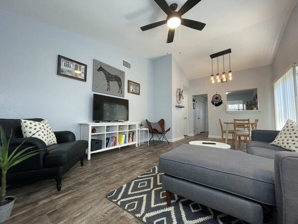 TV, Netflix, streaming services, offices