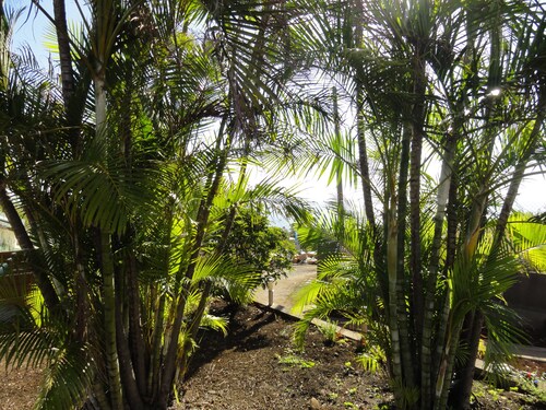 CASEMAMIRI Appart tout confort  4 pers +1 bb,  terrasse vue mer, piscine 