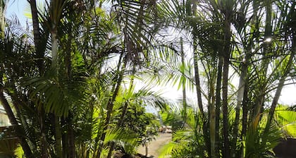 CASEMAMIRI Appart tout confort 4 pers +1 bb, terrasse vue mer, piscine