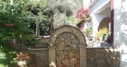 Art Flowers and Culture