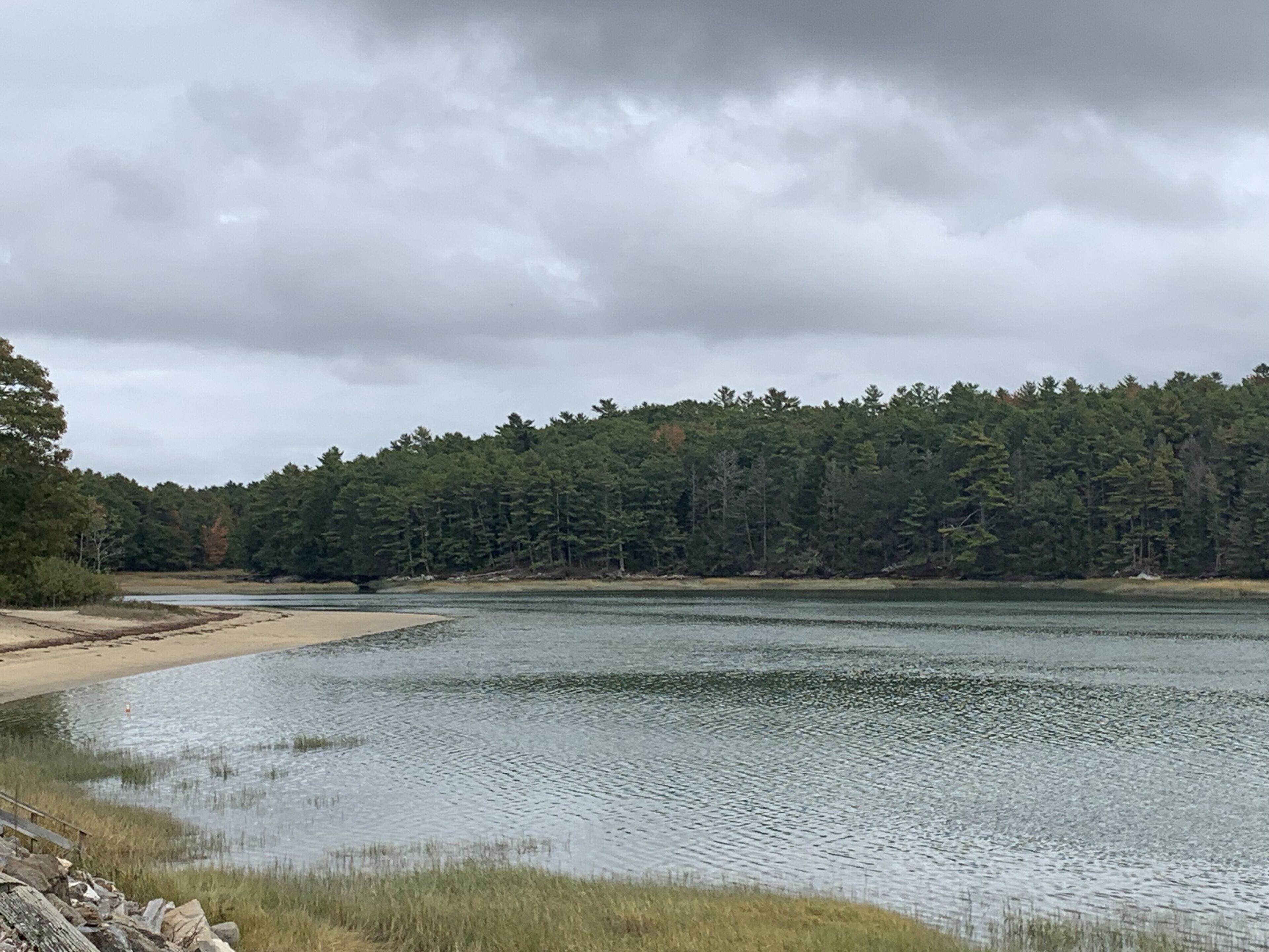 Ein See mit Sandstrand und einem Wald im Hintergrund.