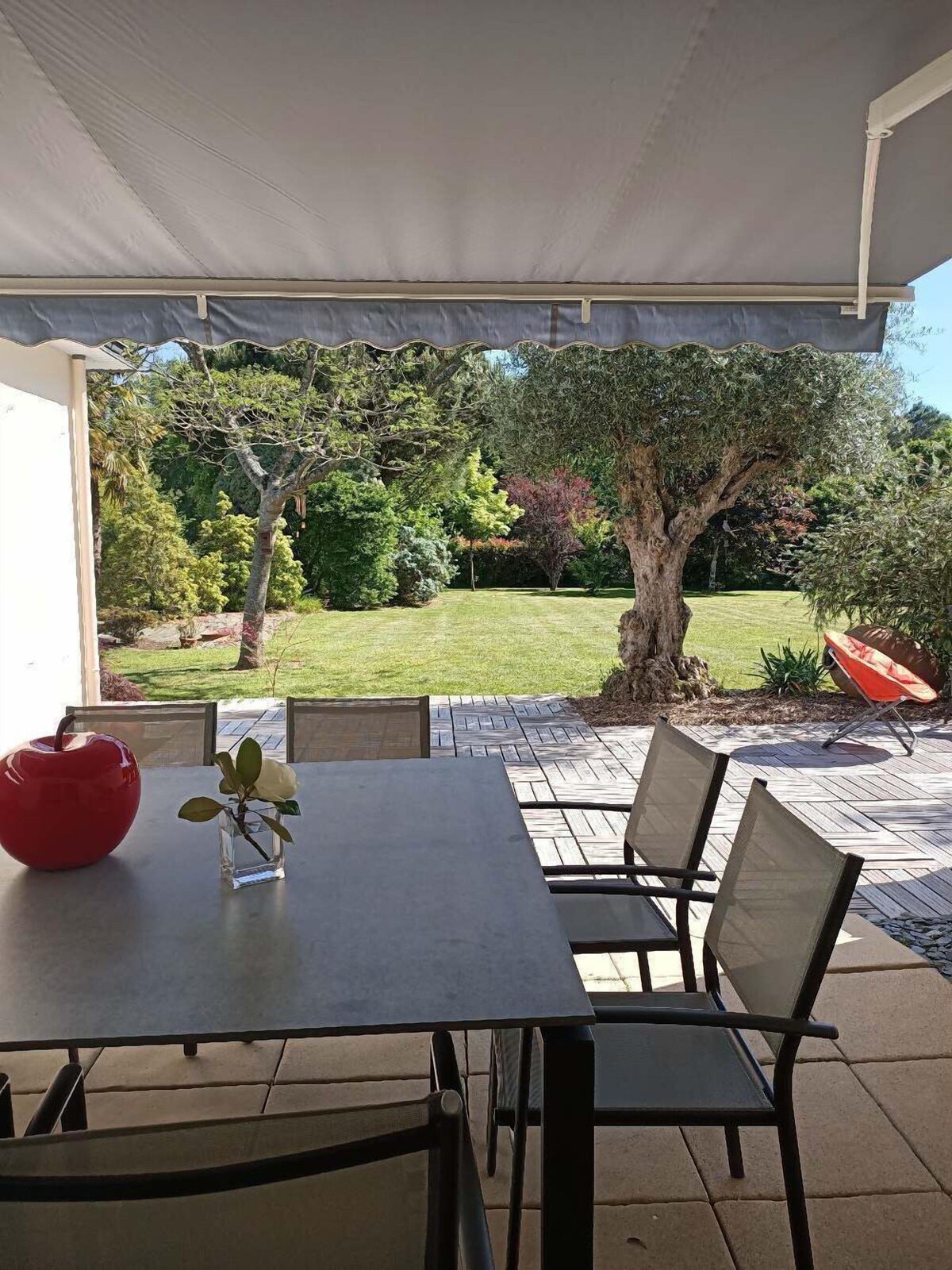 Image de profil de l’hôte