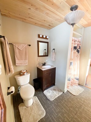 A bathroom with a toilet, sink, mirror, and a ceiling light fixture. - Cozy Bear Den - private house with fenced yard! (Seeley Lake)