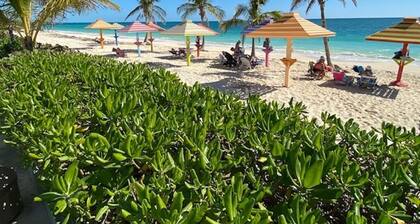 A little piece of paradise is waiting for you , 1 minute walk to pool and ocean