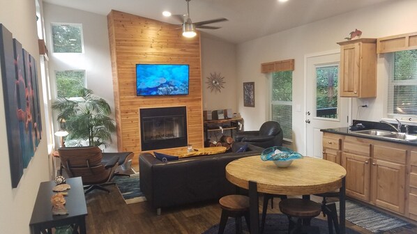 TV connectée, cheminée, livres, chaîne hi-fi