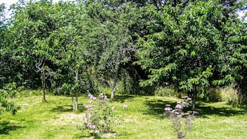 Ulkoalueet