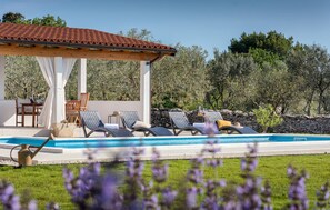 Pool - Gorgeous home in Galizana with WiFi (Galizana)